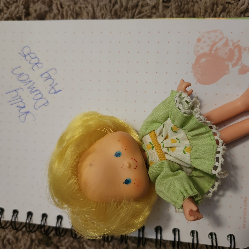 Strawberry Shortcake MINT TULIP DOLL 80S VINTAGE